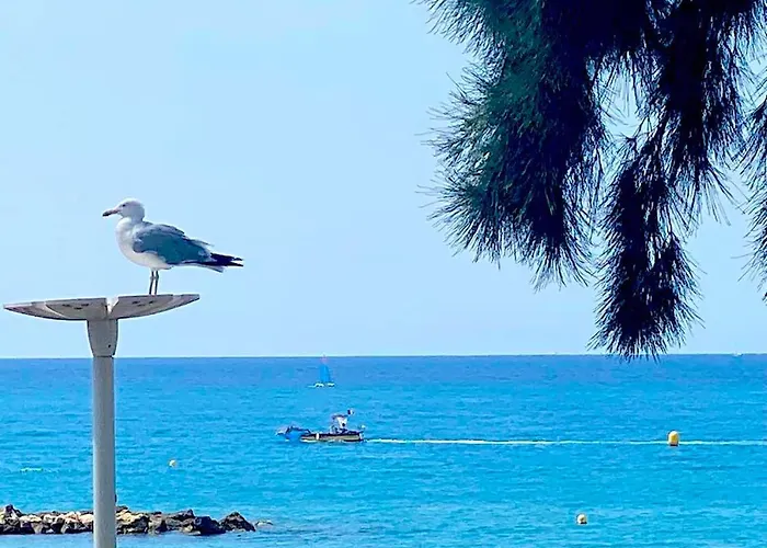 Appartement Sur La Plage, Le Royal Beach