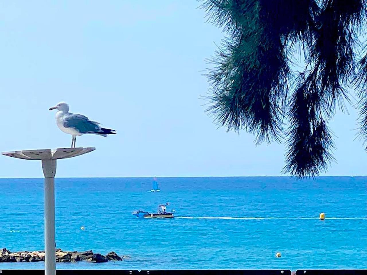 Apartment Sur La Plage, Le Royal